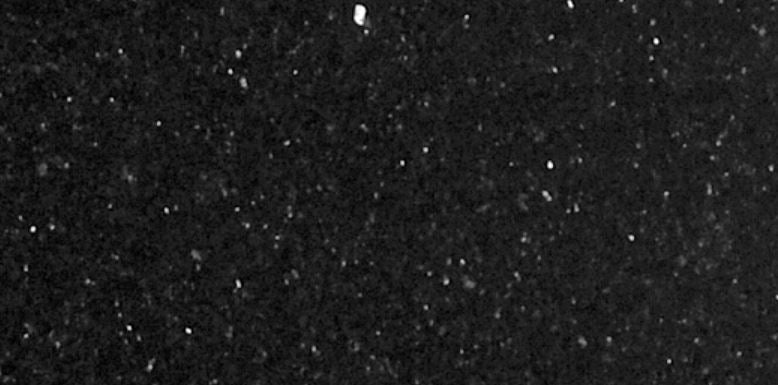 Granite 12x24 x 3/8 noir galaxy poli 12,02 pc/bte