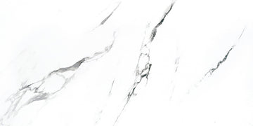Carrara x white 12x24 mat 15,34 pc/bte
